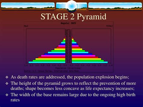 PPT - Population Theories and Models PowerPoint Presentation - ID:241033