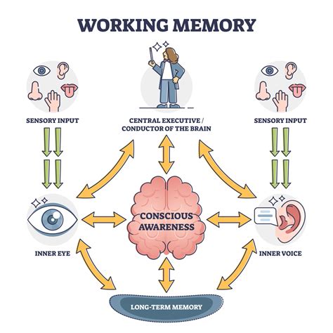 Phonological Working Memory In Children With & Without ADHD