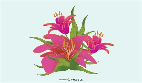 Lily Flower Vector Vector Download