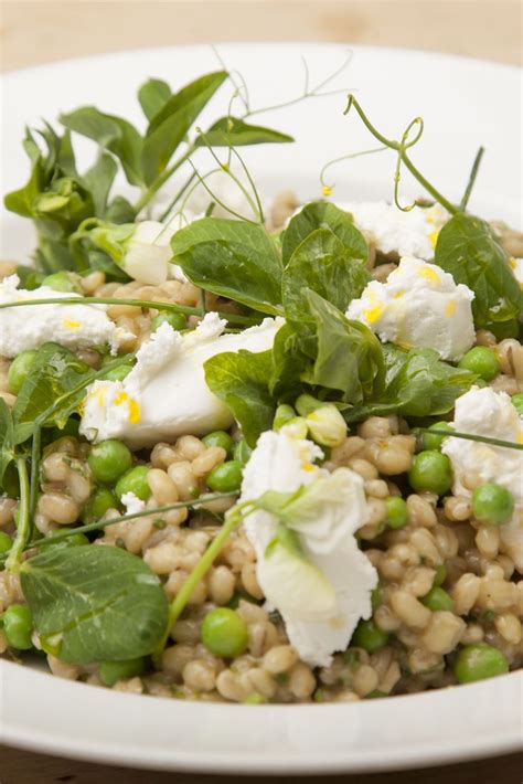 Pearl Barley Salad Recipe | Recipe | Barley salad recipes, Barley salad, Best vegetarian recipes