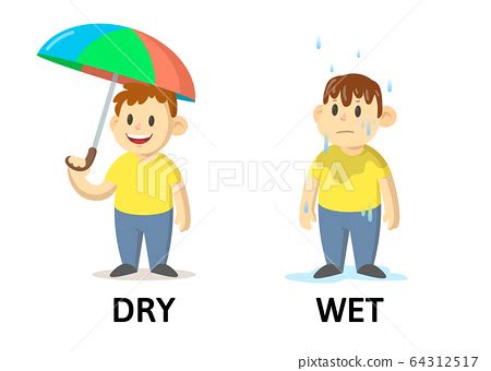 Words dry and wet flashcard with cartoon... - Stock Illustration [64312517] - PIXTA