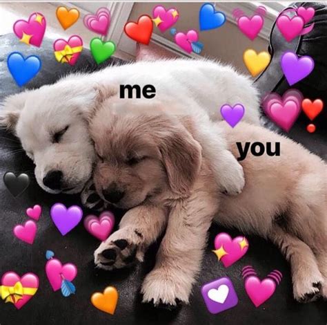 Wholesome Memes Cute Love Memes Cute Memes Wholesome Memes | Images and Photos finder