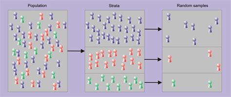 Stratified Sampling Statistics - Riset