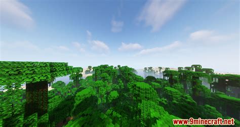 Bobby Mod (1.19, 1.18.2) - Rendering the Environment better - Mc-Mod.Net