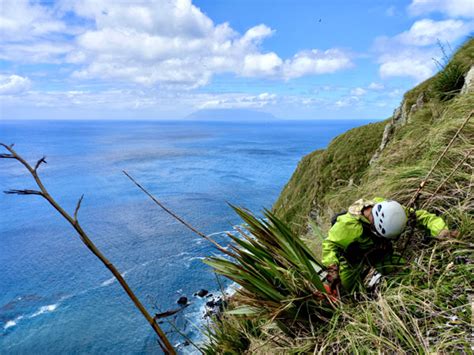 Tristan da Cunha Wildlife and Conservation News: Tristan training after ...