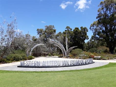 A must visit - Review of Kings Park and Botanic Garden, Perth ...