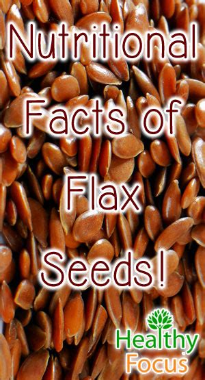 Flax Seed Benefits - Healthy Focus