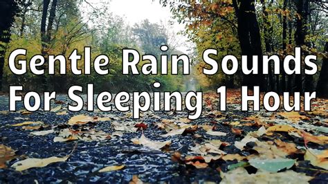 Gentle Rain Sounds For Sleeping 1 Hour in 2020 | Gentle rain sounds, Rain sounds for sleeping ...