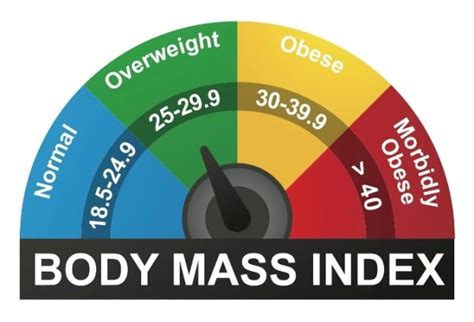 The Complete Guide To Body Fat Percentage Charts