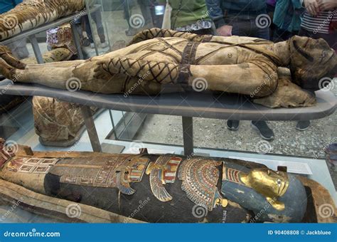 Mummies in British Museum editorial stock photo. Image of egyptians - 90408808