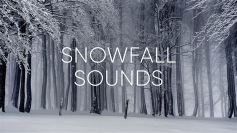 Relaxing snowfall sounds | Winter ambience | Light winter storm for ...