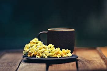 green tea, press, flowers, kitchen, drink, beverage, pot, cup, counter, food and drink | Pxfuel