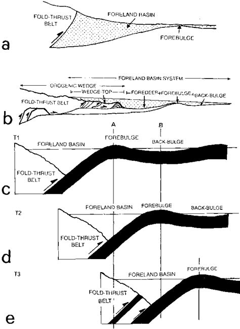 -Diagrammatic cross sections showing the generally accepted notion of... | Download Scientific ...