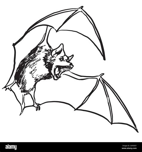 Vampire Bat Tattoo