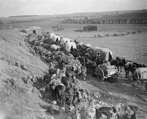 Cavalry Regiments - The Long, Long Trail