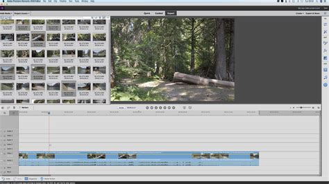 Adobe Premiere Elements 2020 review | Digital Camera World