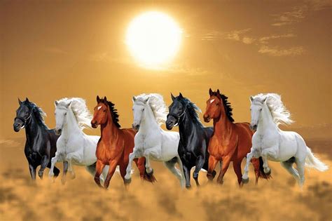 Lucky Symbols | Beautiful horses, Horse wallpaper, Horse pictures