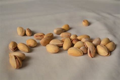 Free picture: pistachio, food, seed