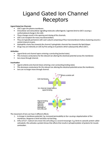 Ligand Gated Ion Channel Receptors - Ligand Gated Ion Channel Receptors ...