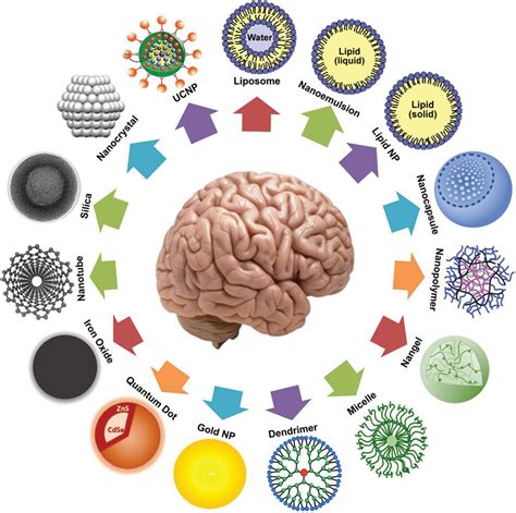 Nanotechnology for neuroscience | Neuroscience, Nanotechnology, Basic concepts