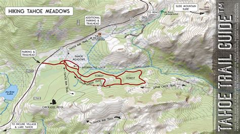 Hiking Tahoe Meadows (via Mount Rose HWY/SR 431 near Incline Village, NV) | Tahoe Trail Guide