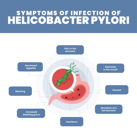 Symptoms of H. Pylori Infections