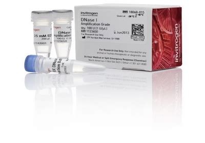 Thermo Fisher Scientific DNase I, Ampliﬁcation Grade - Laboratory Consumables > Molecular ...