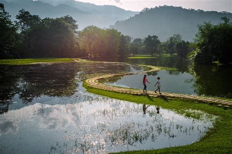 Taiping Lake Gardens: Resilience Over Histories | IFLA Asia-Pacific