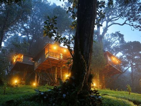 Top Best 5 Wayanad Kerala Tree House Resort | Kerala Treehouse