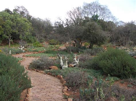 Pretoria National Botanical Garden, Pretoria, South-Africa | Pretoria ...