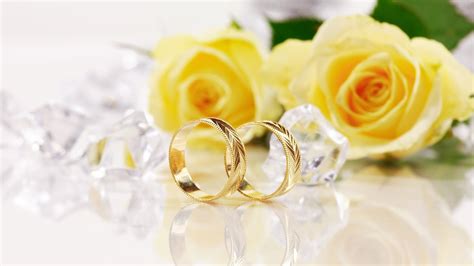 Yellow Roses and Gold Wedding Rings - Mystery Wallpaper