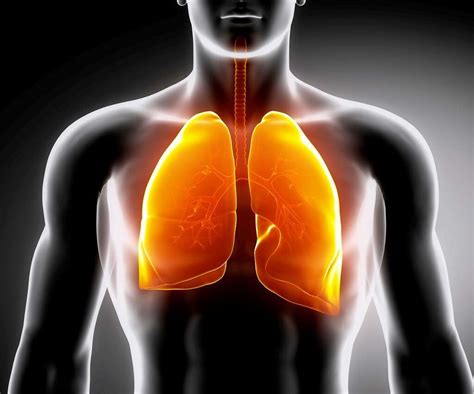 Black Lung: Black Lung Symptoms, Causes & More