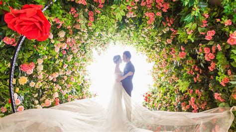 Wedding Wallpapers - Top Free Wedding Backgrounds - WallpaperAccess Romantic Wedding Photography ...