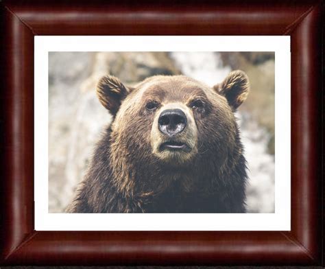 Brown Bear Wall Art Digital Print Poster Photo Photograph | Etsy | Bear wall art, Bear art ...