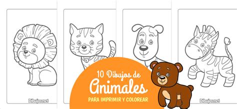 Normal fácil de lastimarse Adversario animales para imprimir y colorear gratis Tubería antártico ...