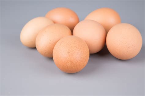 Egg Free Stock Photo - Public Domain Pictures