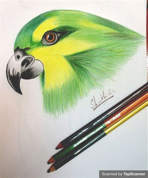 Update more than 162 creative color pencil drawing ideas latest ...