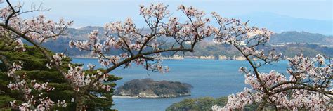 Miyagi Prefecture Travel Guide