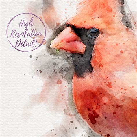 CARDINAL Watercolor Original Cardinal Painting Cardinal - Etsy