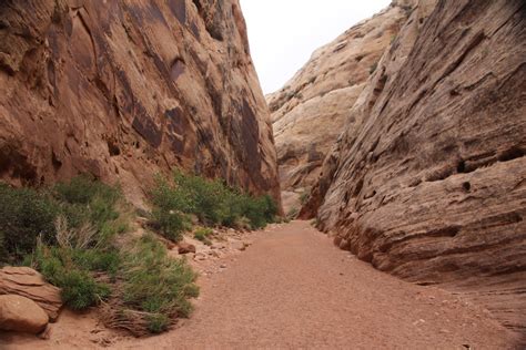 Free Images : landscape, nature, pathway, outdoor, rock, wilderness, trail, desert, sandstone ...