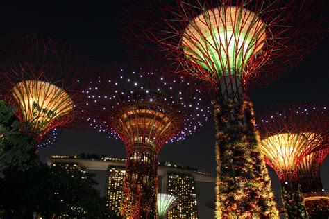 Singapore Sky Tree Night View Free Stock Photo - Public Domain Pictures