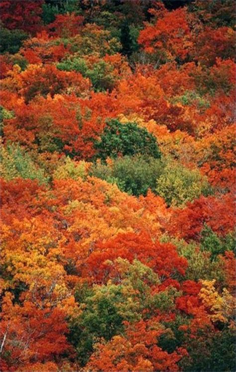 Autumn foliage, Nova Scotia, Canada: - World Travel