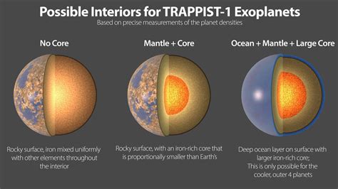 The seven rocky planets of TRAPPIST-1 seem to have very similar compositions