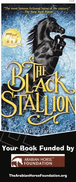 The Black Stallion Book