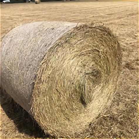 Hay Bales for sale in UK | 94 used Hay Bales