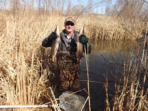 Northern Pike Habitat Restoration