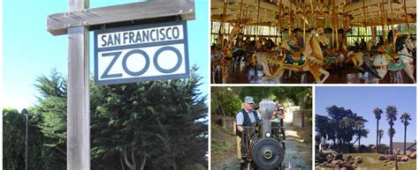 5 Things You Must Do at the San Francisco Zoo San Francisco Zoo, Tropical Forest, 5 Things ...