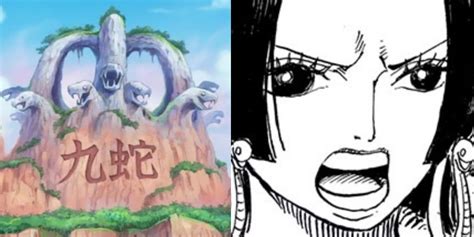 One Piece: Why Kuma Sent Luffy To Amazon Lily, Explained