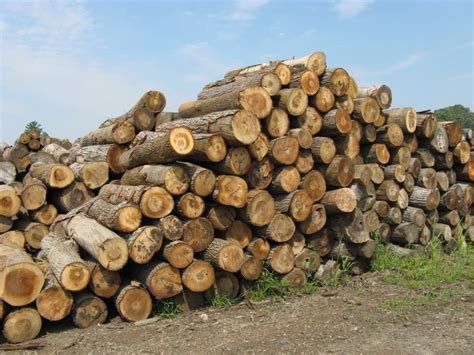 Logs & Lumber | Riephoff Sawmill