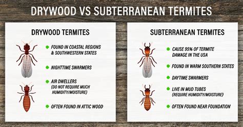 Subterranean Termites Damage